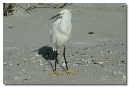 Florida 2009 (13)